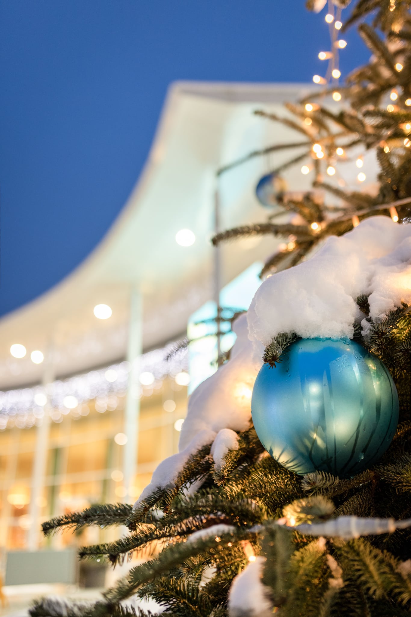 Zu sehen ist ein beleuchteter Christbaum mit einer blauen Kugel, der vor der Parktherme in der winterlichen Schneelandschaft steht.
