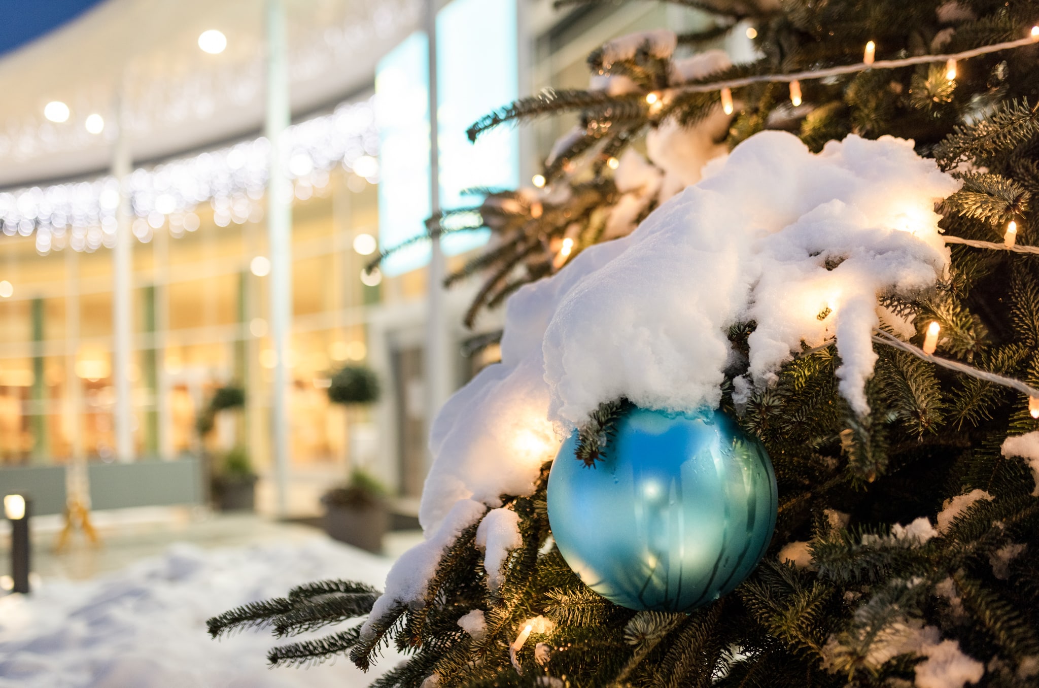 Ein mit Lichterketten und einer blauen Kugel geschmückter Christbaum steht vor dem Eingang der Parktherme. Diese ist ebenfalls weihnachtlich beleuchtet.